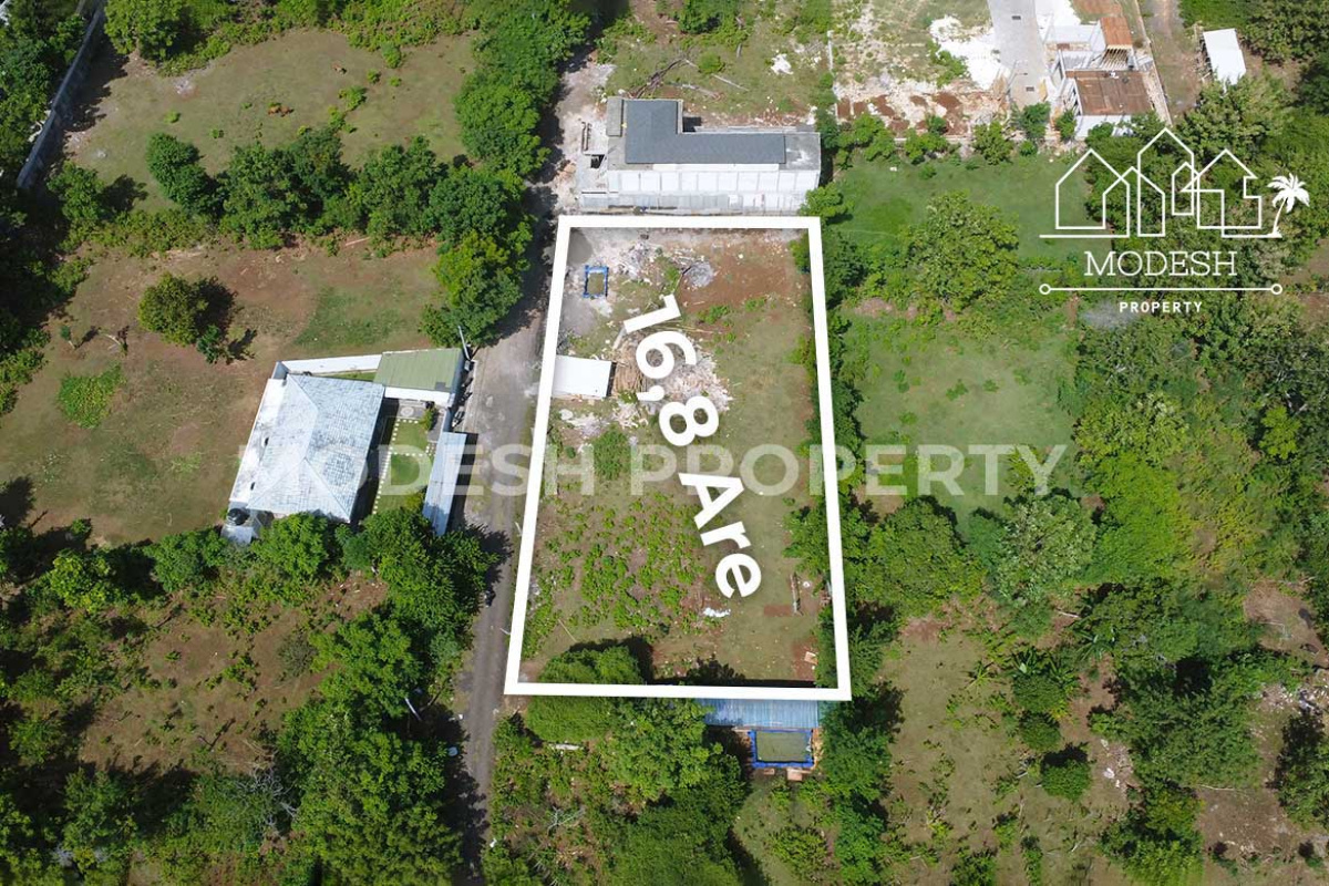 Land,Freehold Sale,1596