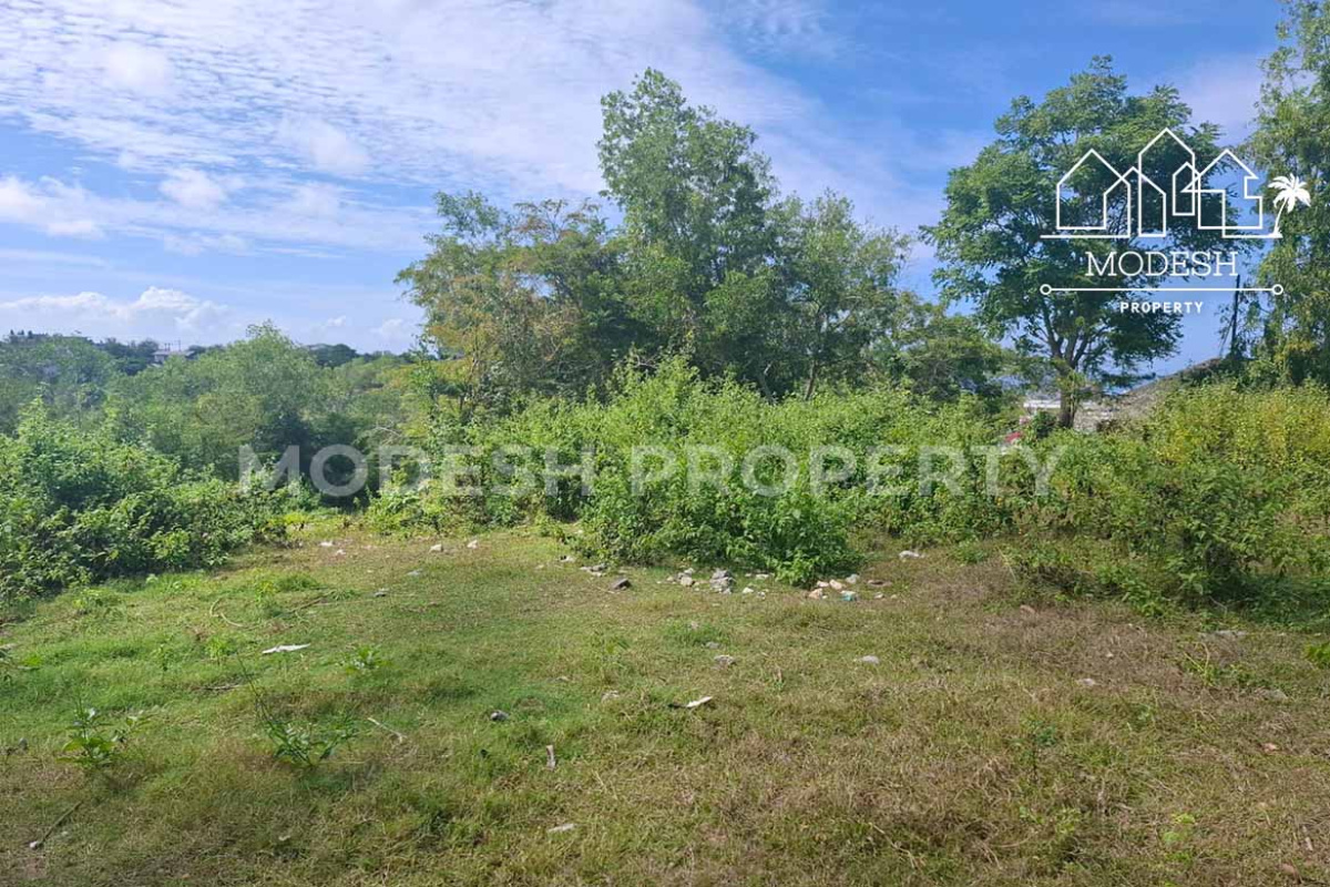 Land,Freehold Sale,1598