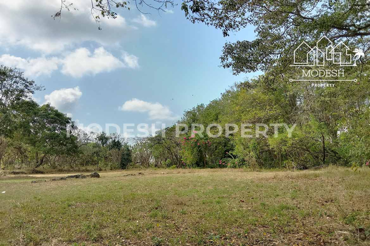 Land,Freehold Sale,1603