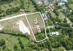 Land,Freehold Sale,1605
