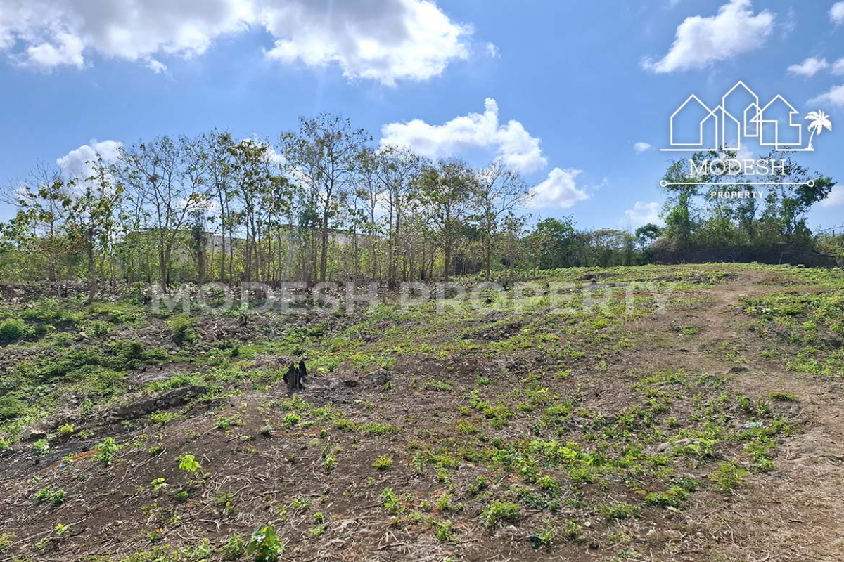 Land,Freehold Sale,1642