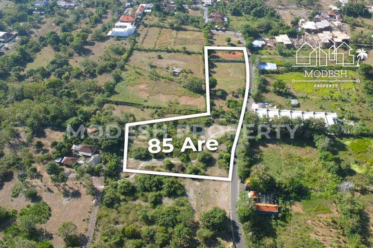 Land,Leasehold Sale,1645