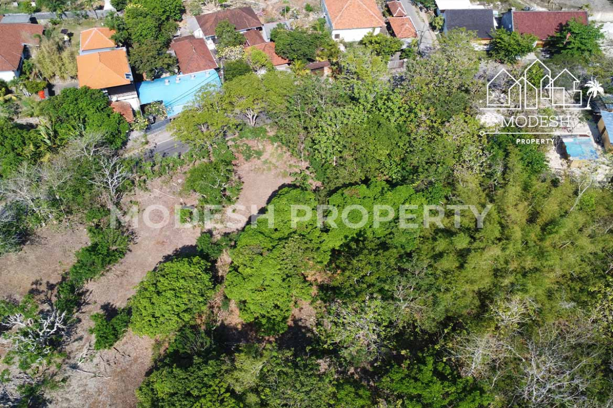 Land,Leasehold Sale,1660