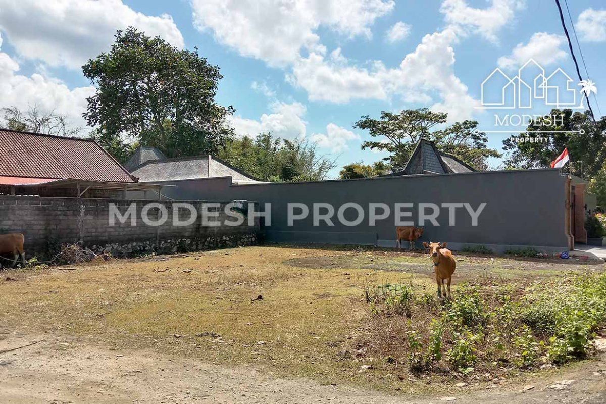 Land,Leasehold Sale,1666