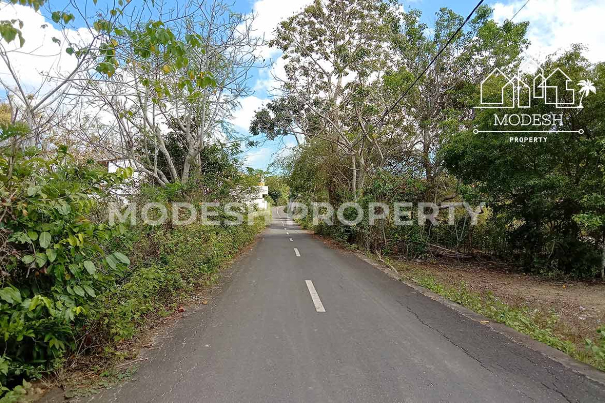 Land,Leasehold Sale,1666