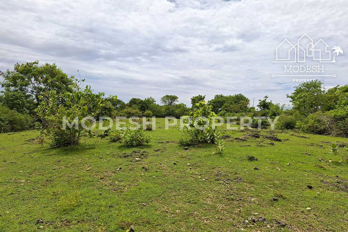 Land,Leasehold Sale,1695