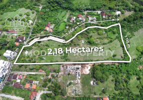 Land,Leasehold Sale,1695