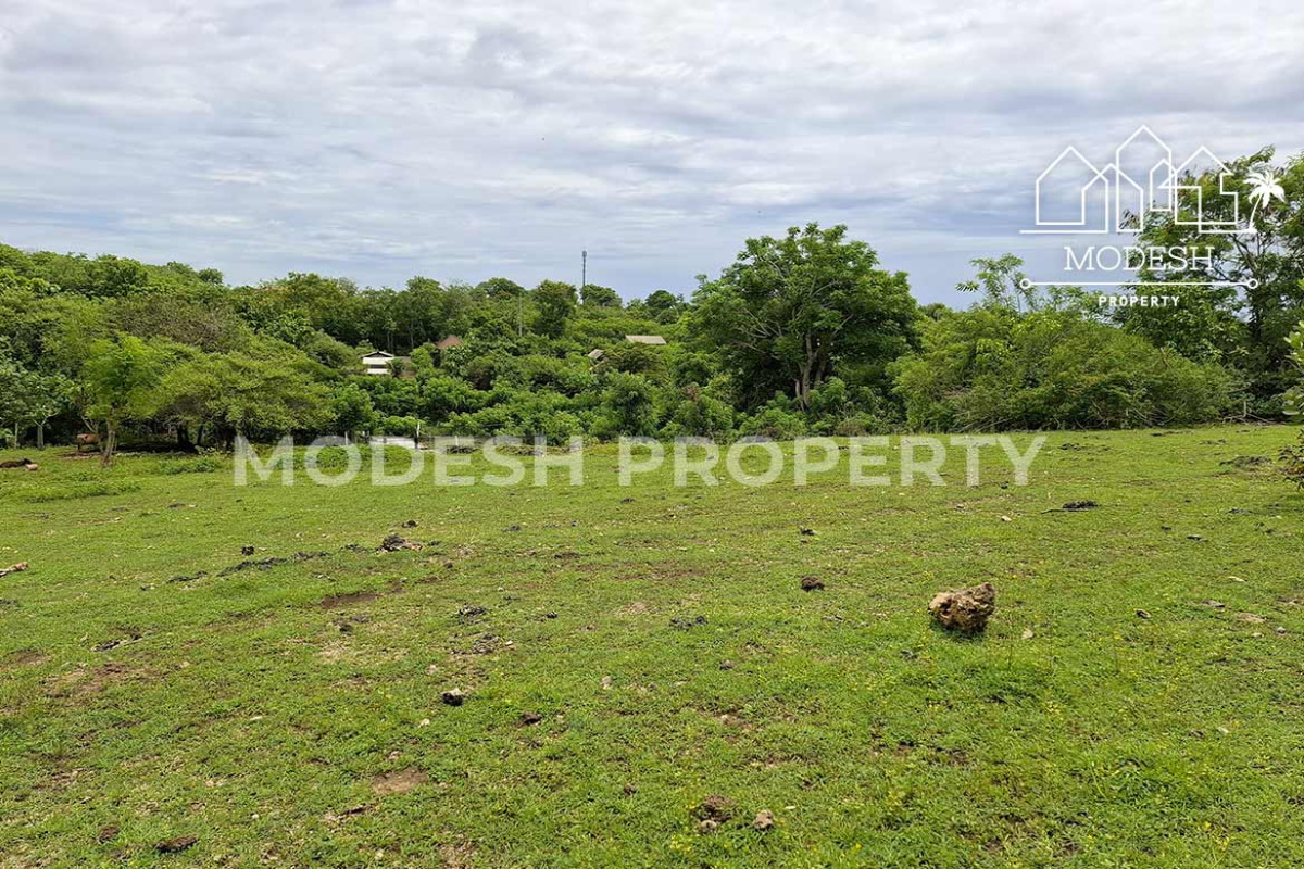 Land,Leasehold Sale,1695