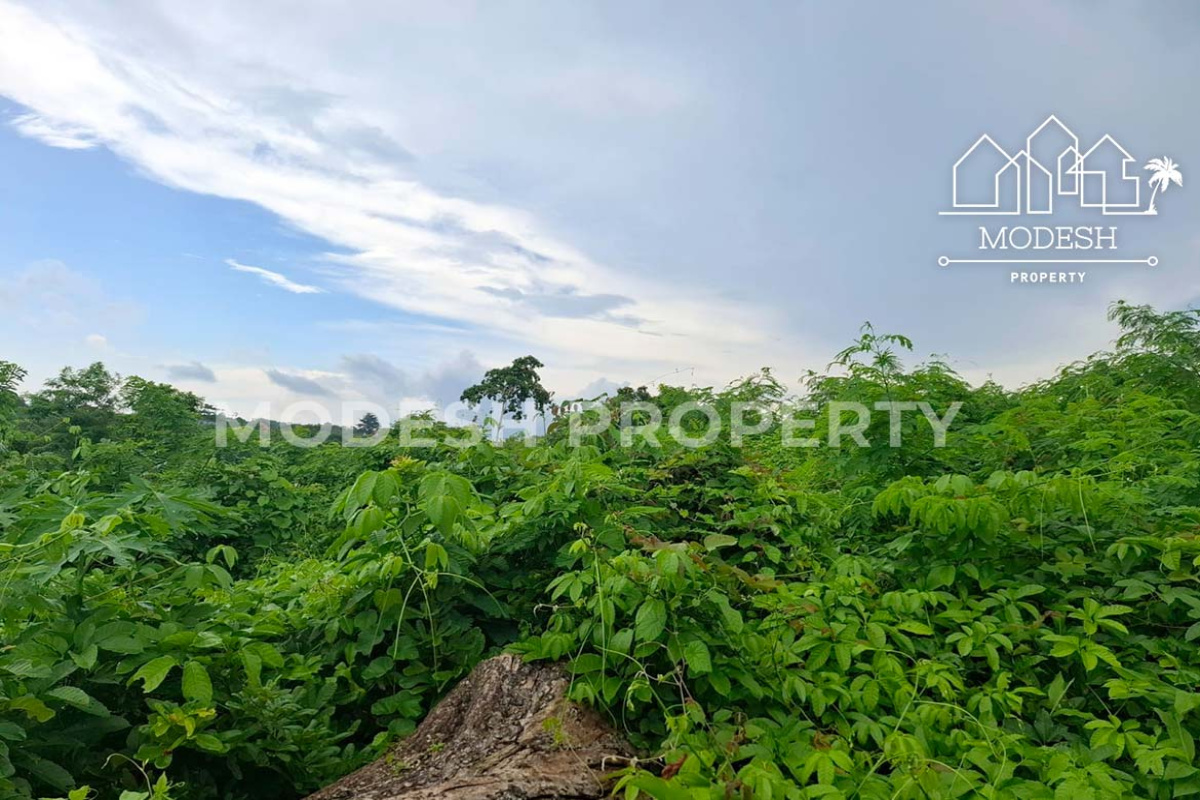 Land,Freehold Sale,1700