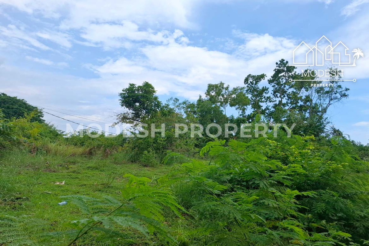 Land,Freehold Sale,1700