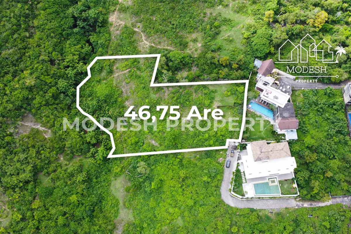 Land,Freehold Sale,1701