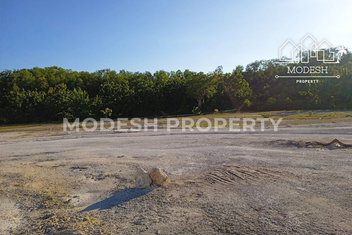 Land,Freehold Sale,1713