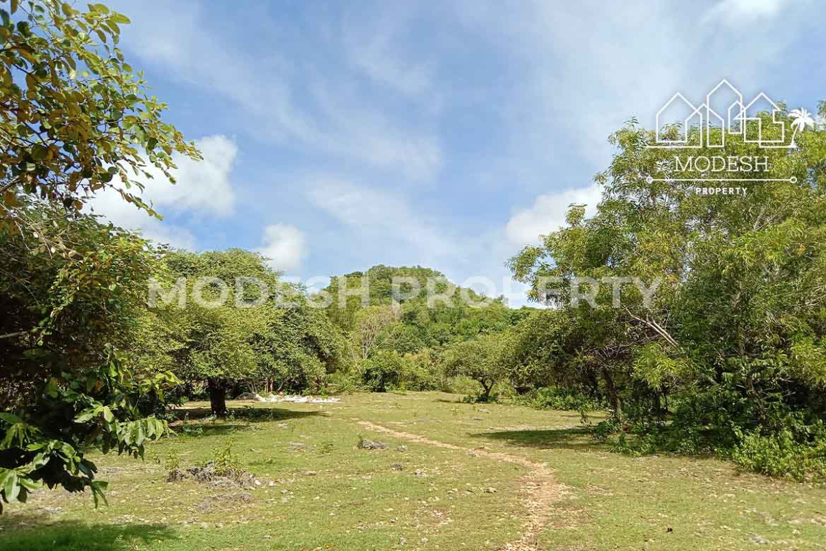 Land,Freehold Sale,1716