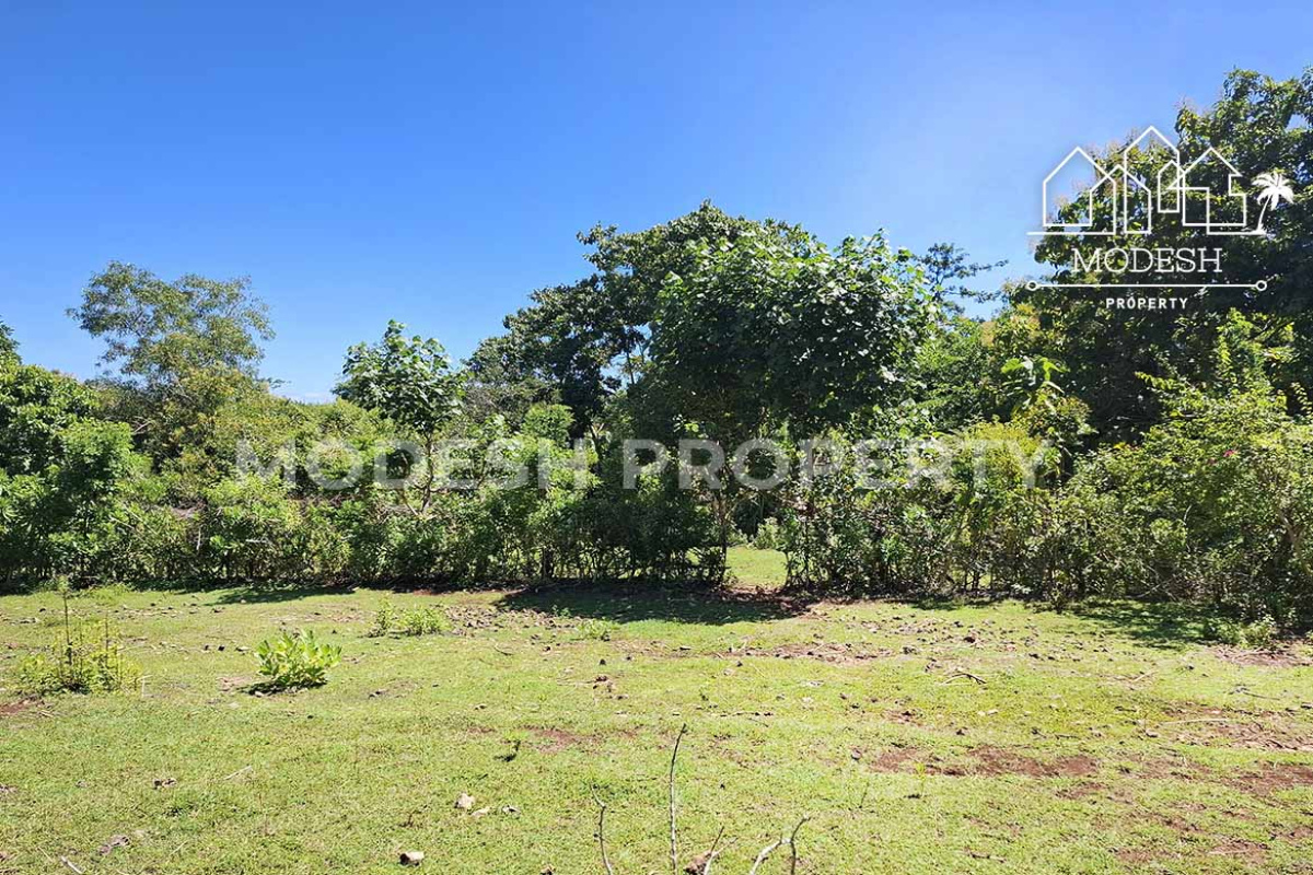 Land,Leasehold Sale,1741