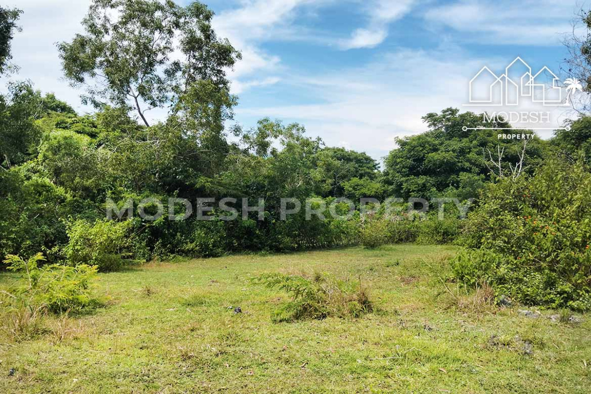 Land,Leasehold Sale,1745