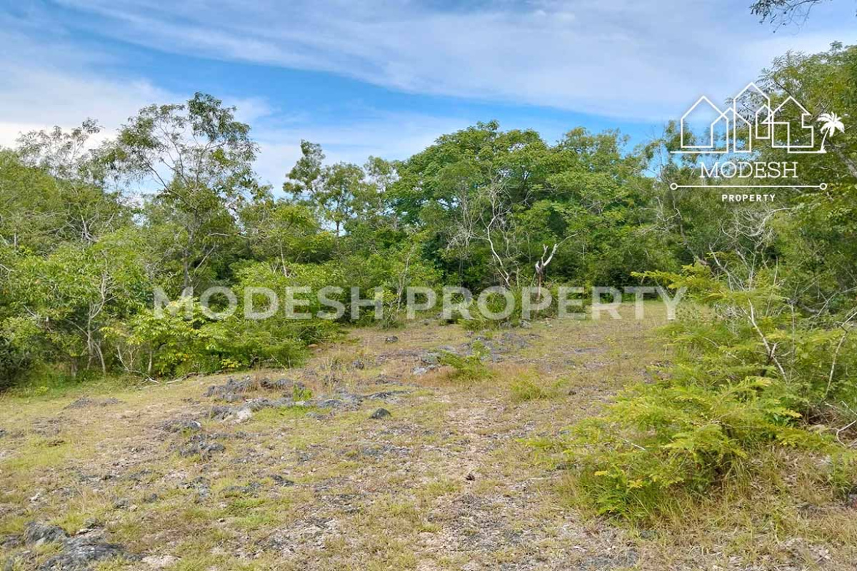 Land,Leasehold Sale,1745