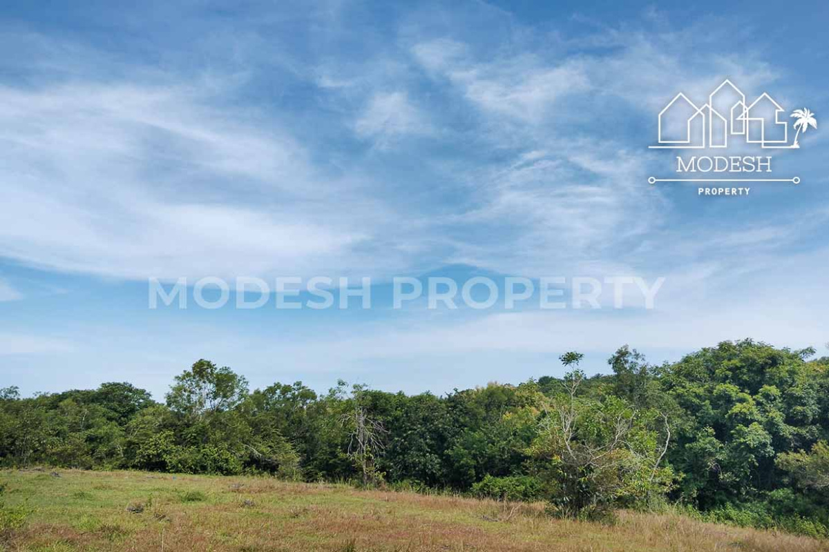 Land,Leasehold Sale,1745