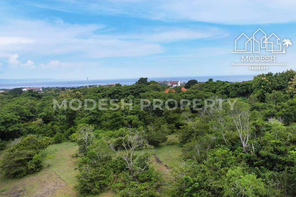 Land,Leasehold Sale,1745
