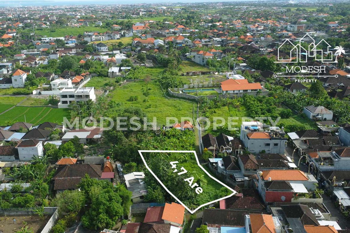 Land,Leasehold Sale,1775