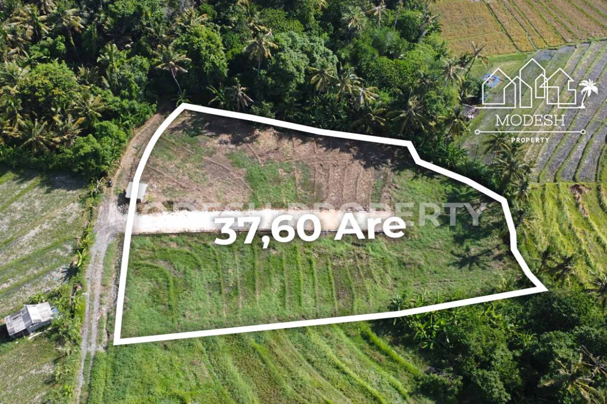 Land,Freehold Sale,1777