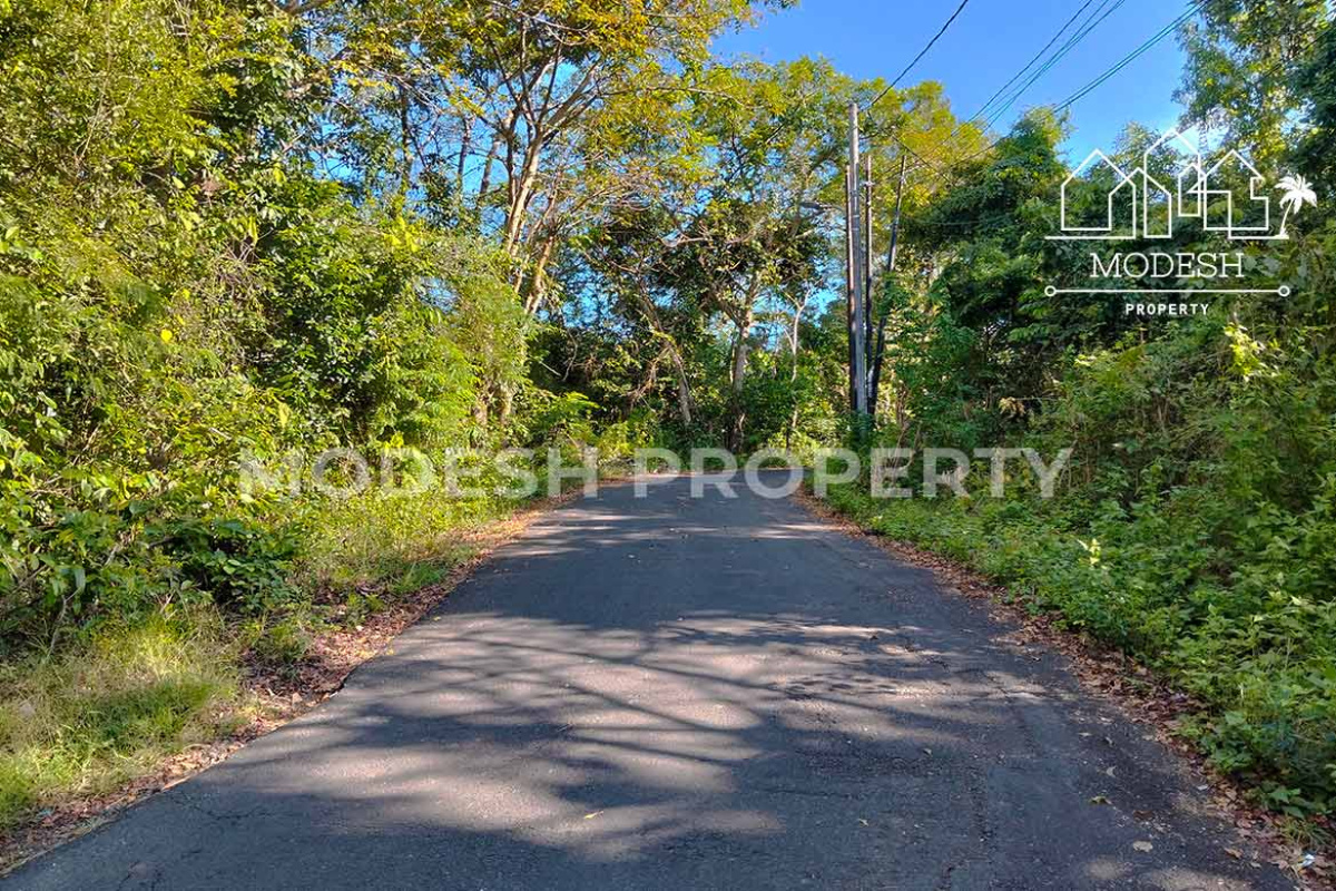 Land,Leasehold Sale,1800