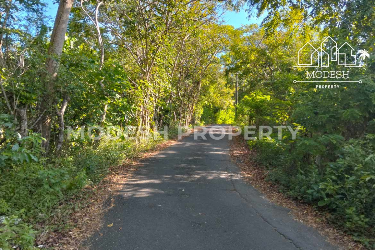 Land,Leasehold Sale,1800