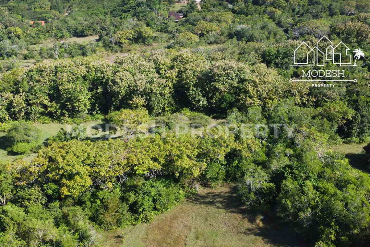 Land,Leasehold Sale,1800