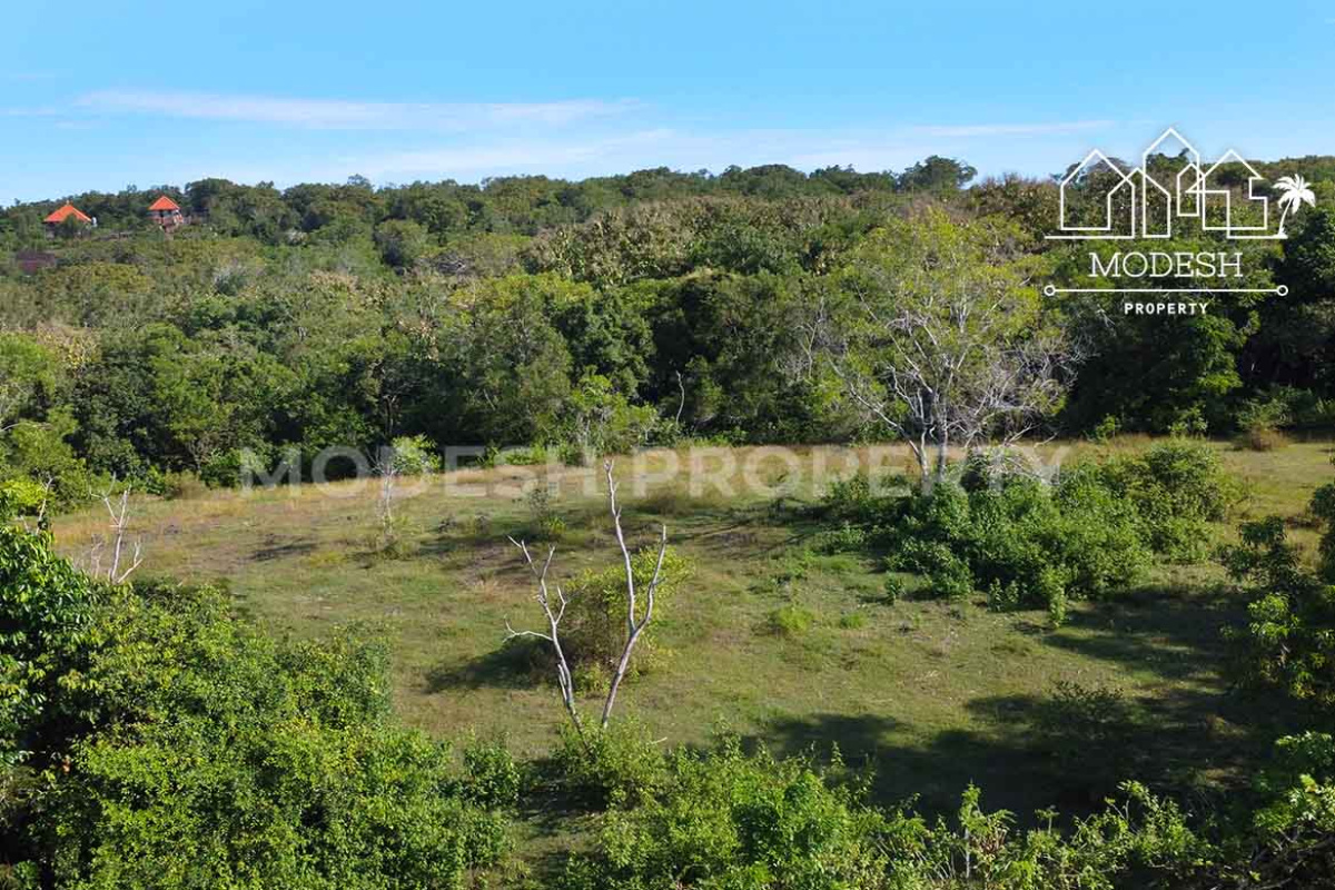 Land,Leasehold Sale,1800