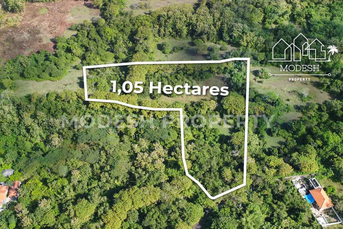 Land,Leasehold Sale,1800
