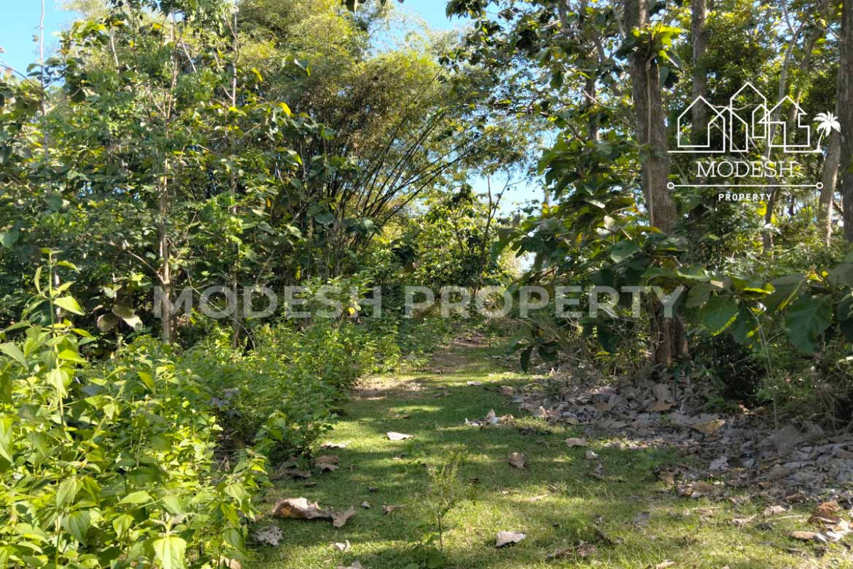 Land,Leasehold Sale,1925