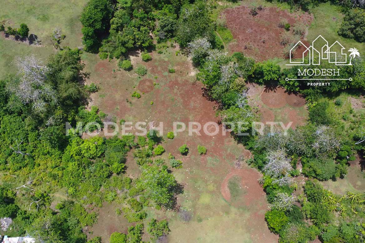 Land,Leasehold Sale,1935
