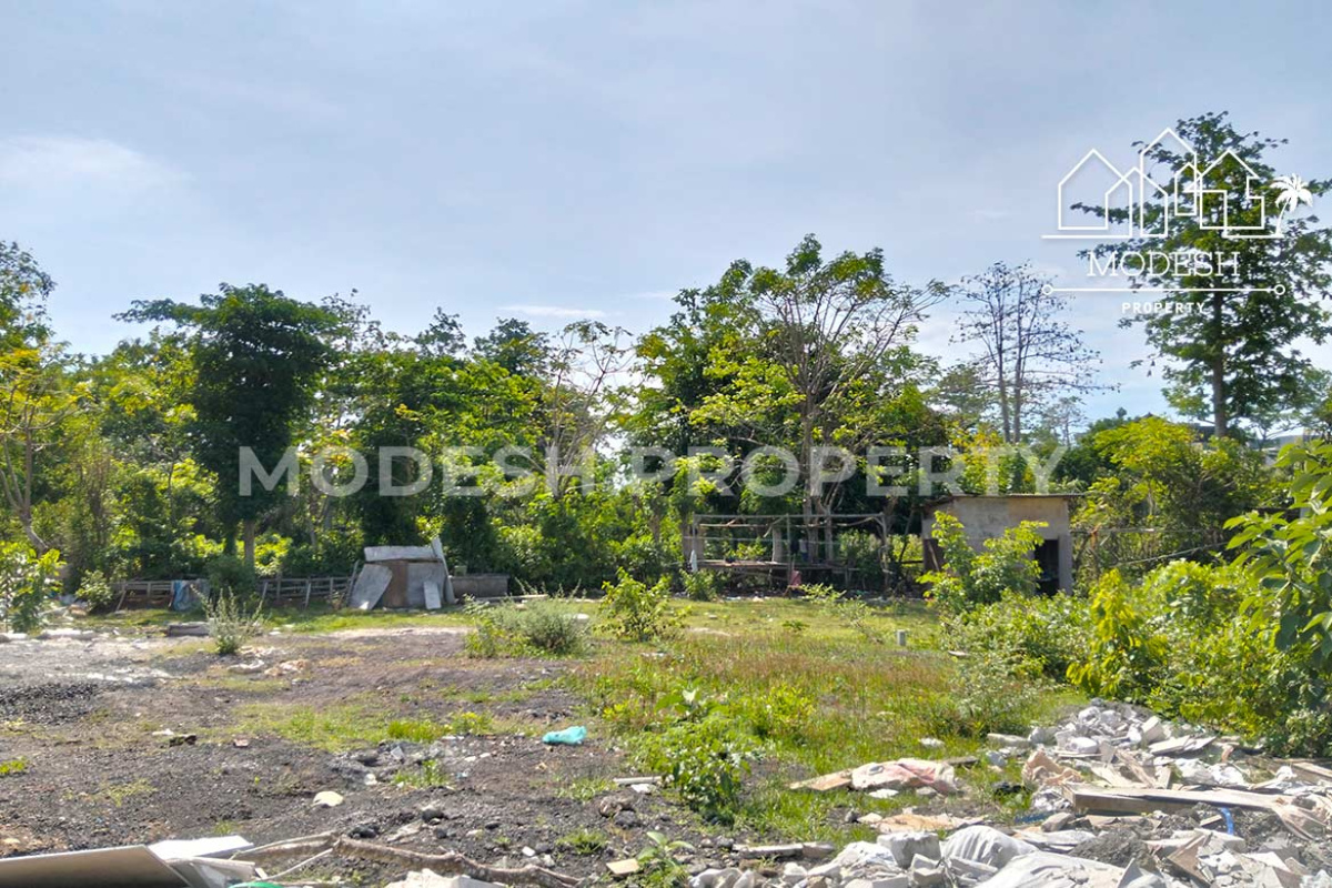 Land,Freehold Sale,1939