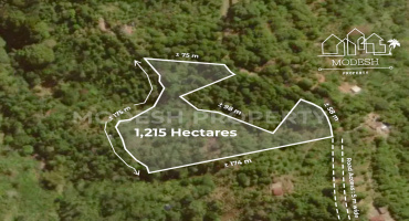Land,Leasehold Sale,1943