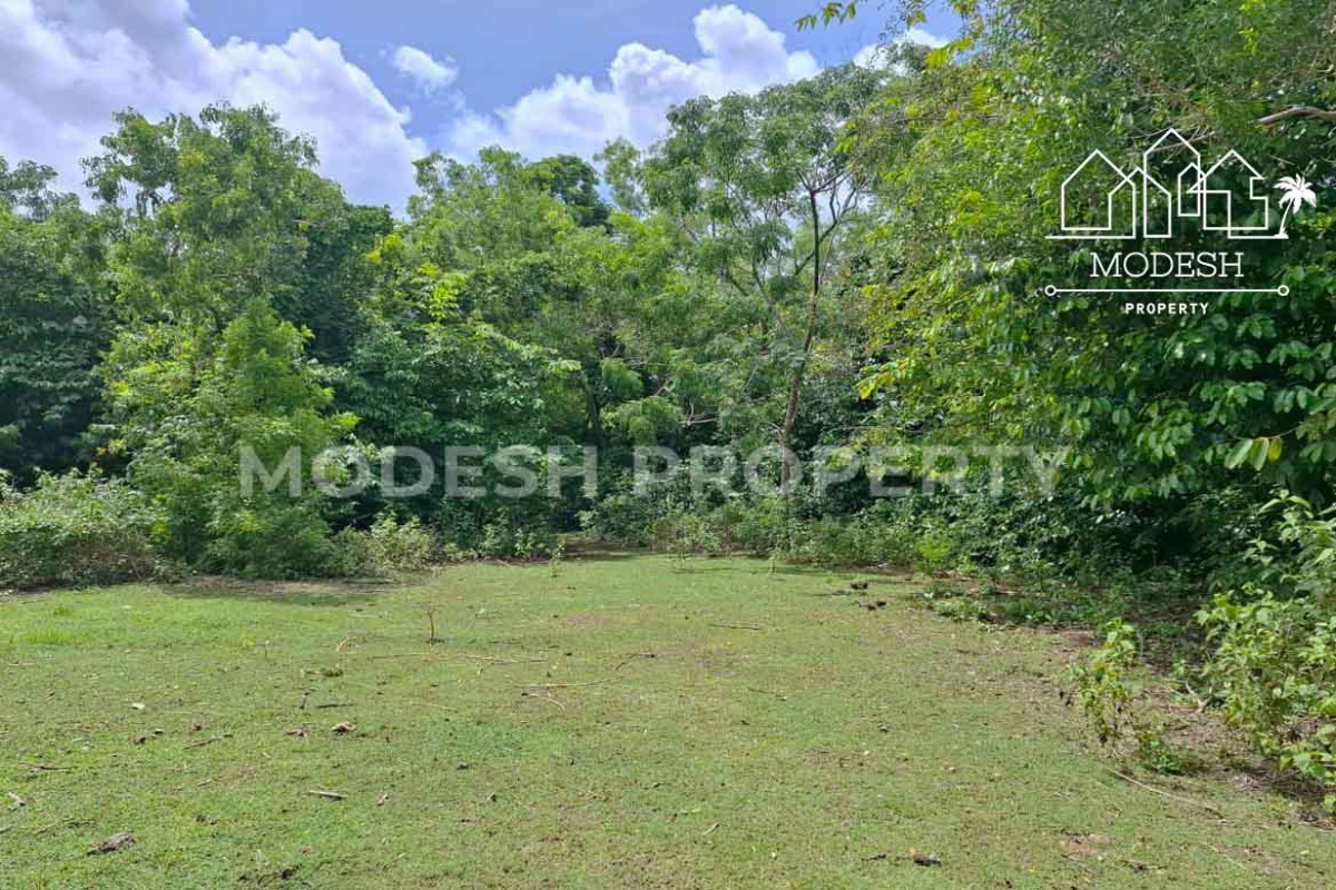 Land,Freehold Sale,1957