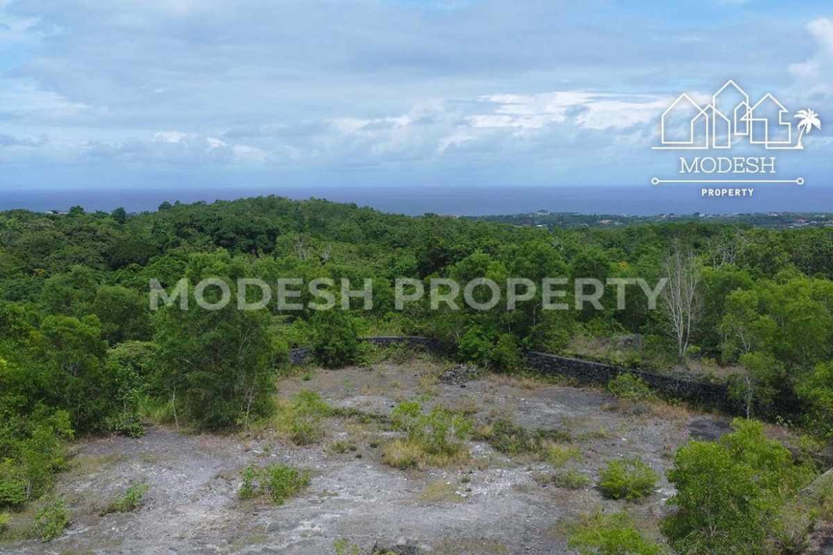 Land,Freehold Sale,1957