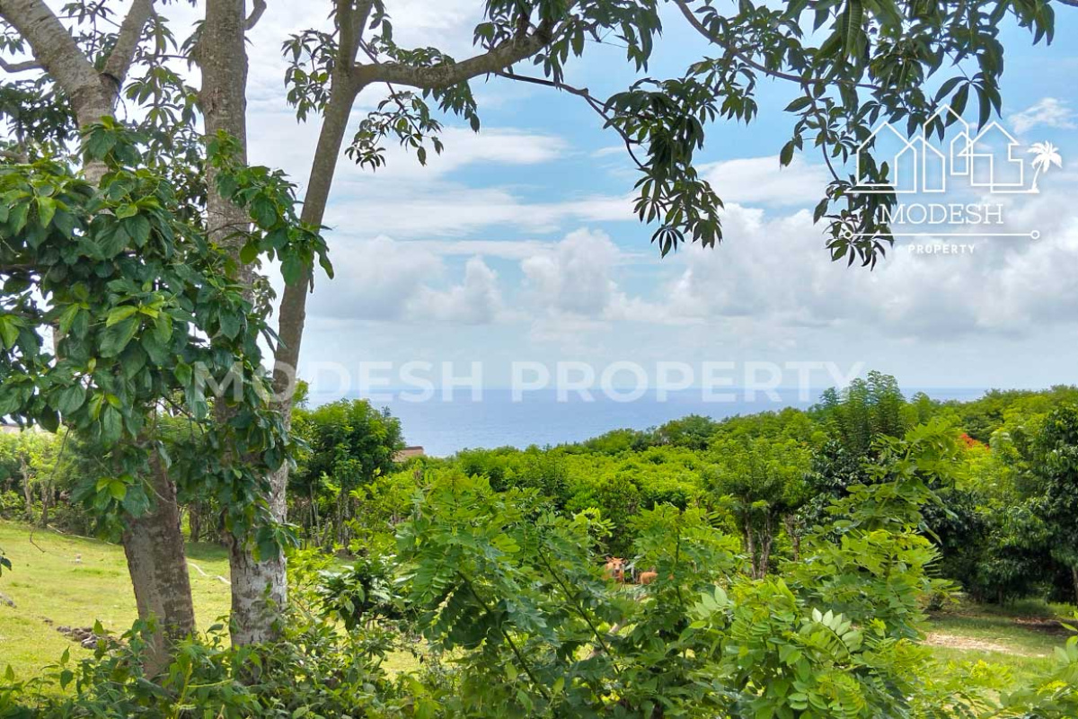 Land,Leasehold Sale,1970